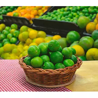 Limon Comun