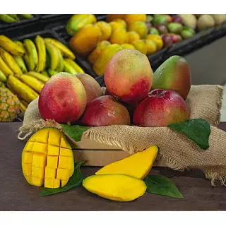 Mango Tomy