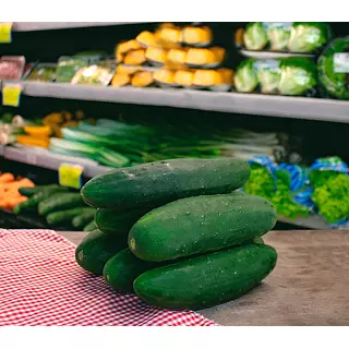 Pepino Cohombro