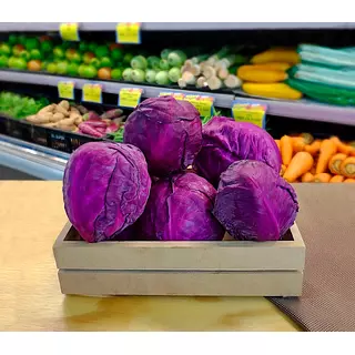 Repollo Morado