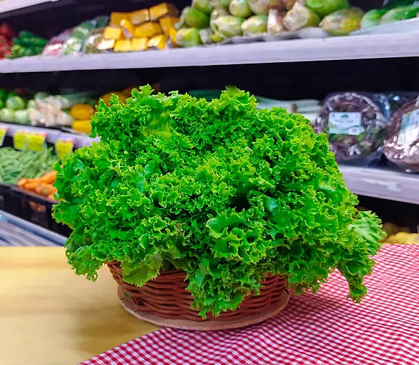 Hortifresco Lechuga Verde Crespa Unidad