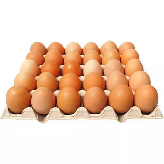 Carton De Huevos S.H. Amarrado Aa X 30und